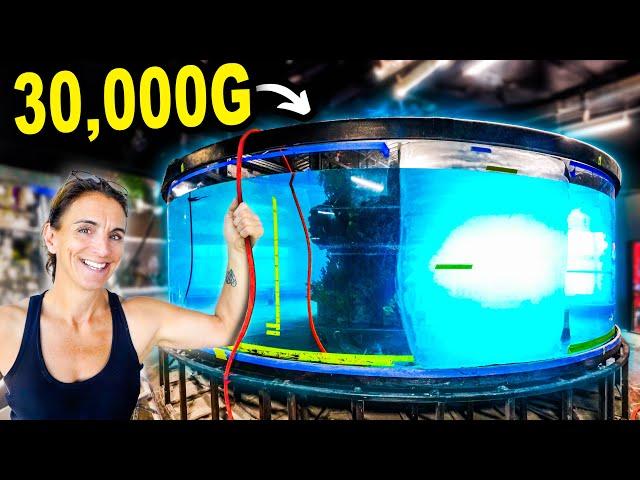 Finally Filling Our 30,000G Shark Tank With Water!