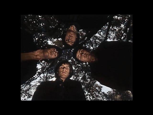 The Troggs - Night Of The Long Grass ( Original Promo 1967 Colorized & Stereo Remastered )