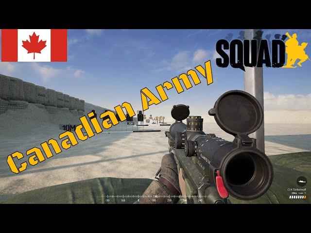 Squad Weapons Showcase | ALL Canadian Army Infantry Weapons 2020