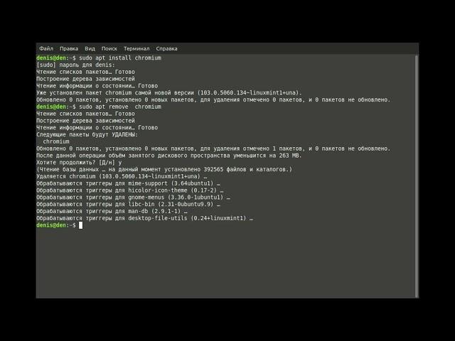 Первые 7 команд Linux для новичка.