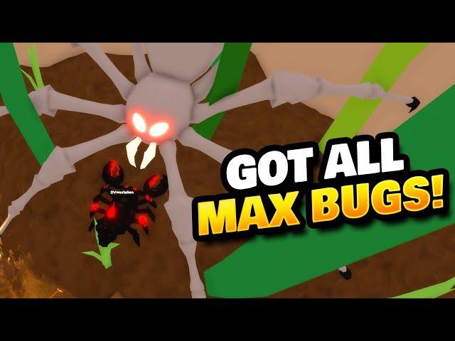 New Max Bug & Boss in Little World Roblox