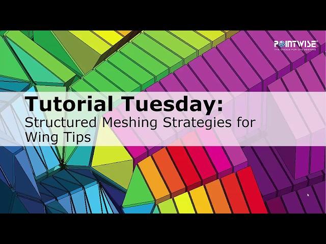 Structured Meshing Strategies for Wing Tips