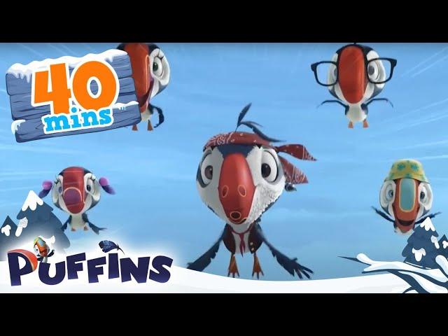 Puffins | 40 min | Johnny Puff's Big Day! | Cartoon For Kids | Puffins World