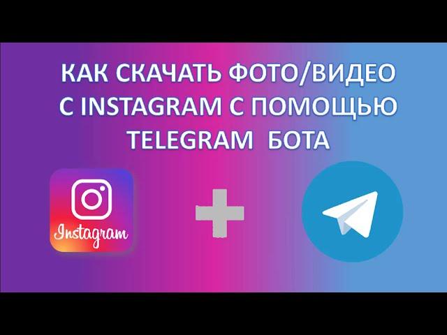 Как скачать фото видео с Instagram с помощью телеграмм бота