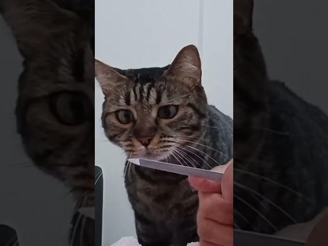 Лёлька