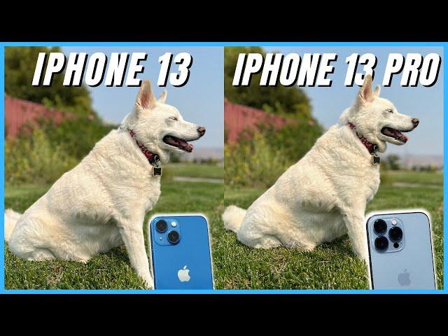 iPhone 13 vs iPhone 13 Pro Camera Comparison | What's the difference?!