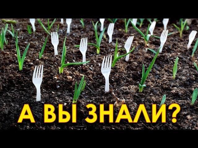 30+ гениальных идей для огорода и сада! Как максимально упростить жизнь в огороде?