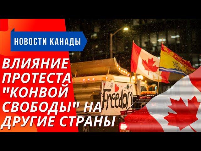 Как канадский «Конвой Свободы» повлиял на другие страны, перекрытие границ // Новости Канады #4