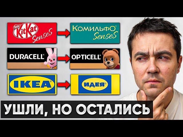 Эти бренды теперь называют ТАК! Возвращение компаний?