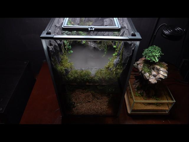 Follow these steps to easily create a stunning Cave Paludarium