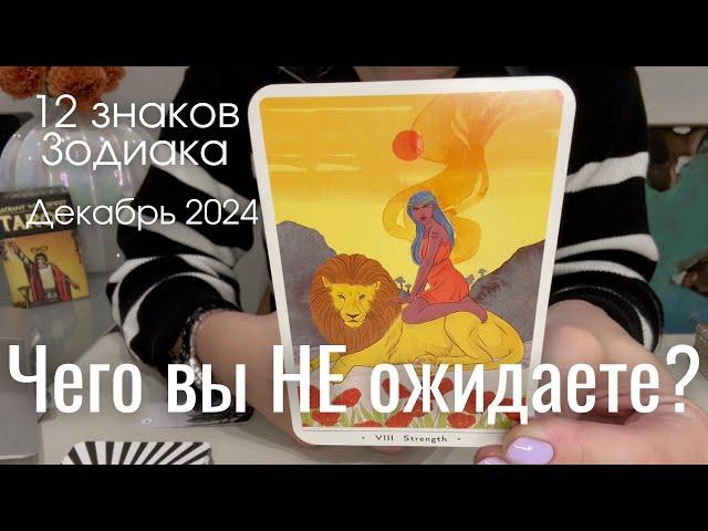 Чего вы НЕ ожидаете? : ВСЕ ЗНАКИ ЗОДИАКА | Декабрь 2024 таро прогноз