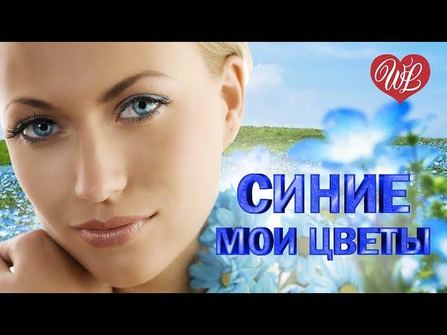 СИНИЕ МОИ ЦВЕТЫ  МУЗЫКА ДУШИ WLV  ДУШЕВНЫЙ ХИТ-ДУША ТАНЦУЕТ  RUSSISCHE MUSIK RUSSIIAN MUSIC HITS