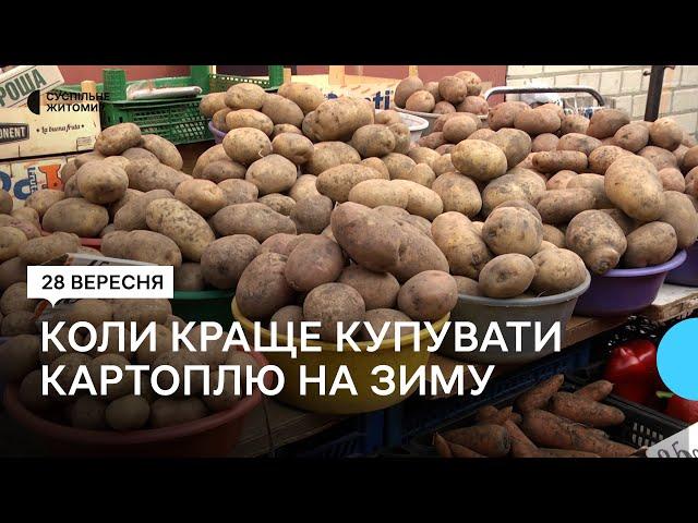 Коли житомирянам найкраще запасатися картоплею на зиму — реальні ціни і прогноз щодо їх зростання