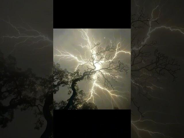 #alientrap #darkspin #supertrap #darkspintypebeat #experimental #redda #supertraptypebeat #zodiak