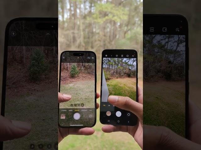 S23 VS iPhone 14 Pro Design & Camera Zoom Test!