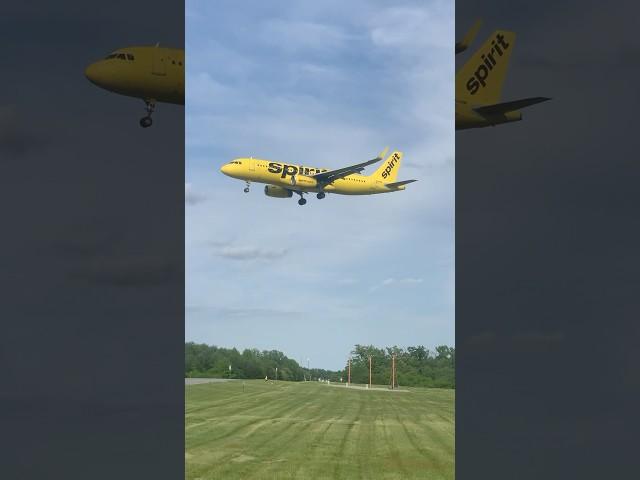 Spirit A320 landing at BWI #baltimoreairport #aviation #planespotting
