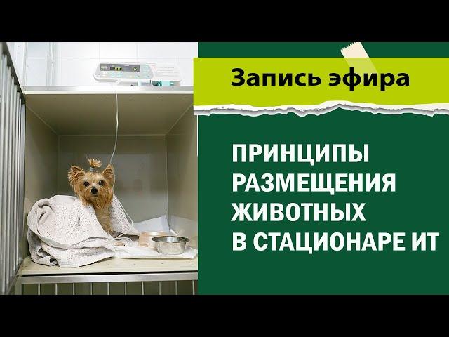 Принципы размещения животных в стационаре