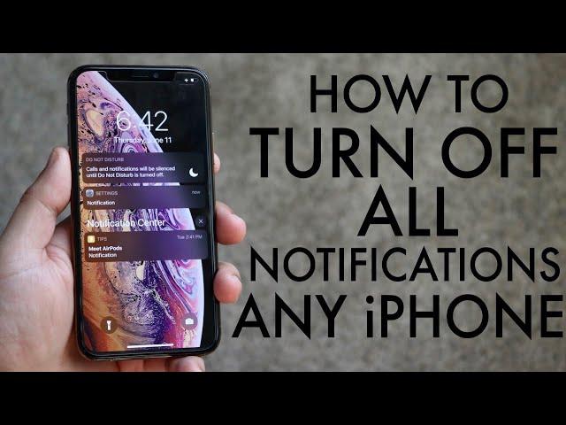 How To Turn Off ALL Notifications On ANY iPhone! (2020)