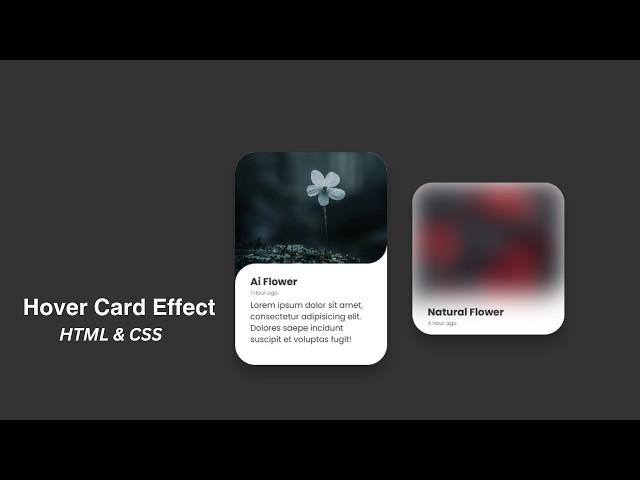 Create Blur Image Card UI Design with Hover Effect Using HTML CSS  @mrcodebox33