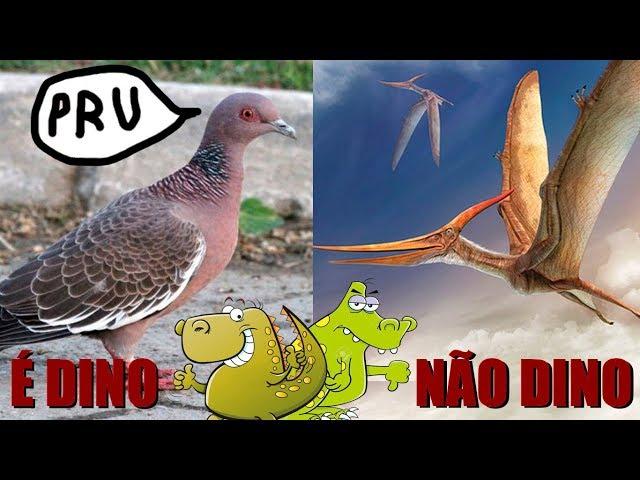 Por que aves são dinossauros e pterossauros não são? (#Pirula 261)