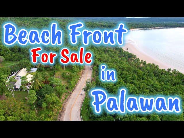 LFS 143: Beach for sale in Palawan Philippines