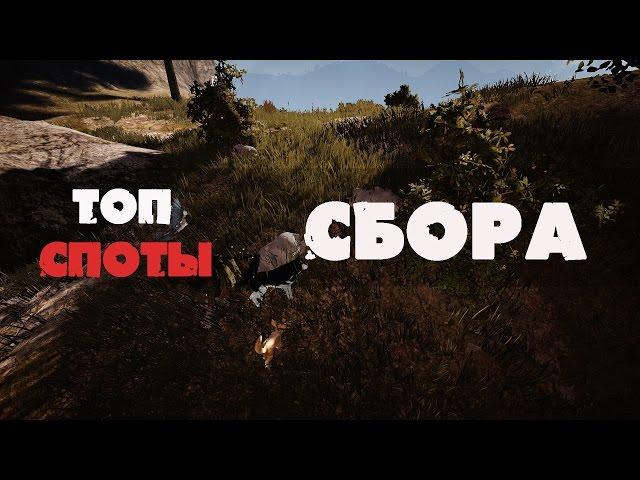 5#BlackDesert - ТОП споты сбора