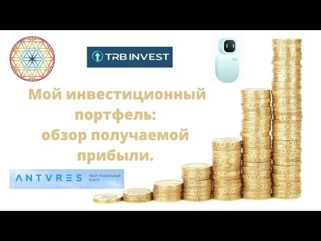 Обзор прибылей моего инвестиционного портфеля