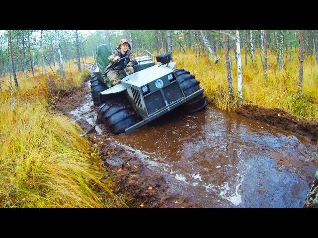 НА БОЛОТО ЗА КЛЮКВОЙ НА КАРАКАТЕ