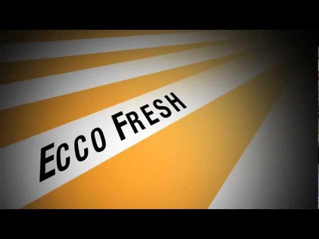 Eco Fresh - Wash Depot