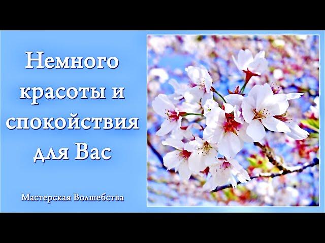 Немного красоты и спокойствия от Мастерской Волшебства!