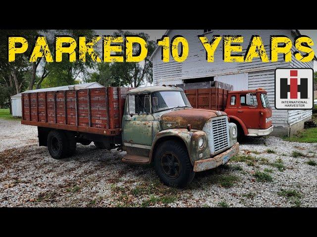 FORGOTTEN Retired Farm Dump Truck, Will It Run and Drive?