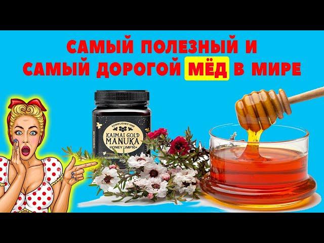 Самый полезный и самый дорогой мёд в мире / Новозеландский мед из Мануки / Манука мёд