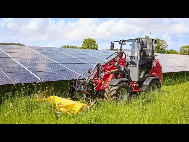 Weidemann – Hoftrac 1390 Einsatz mit Mulcher