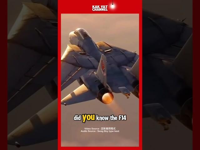 Why the F-14 Tomcat Was Decades Ahead of Its Time #aircraft #usnavy #f14tomcat #f14