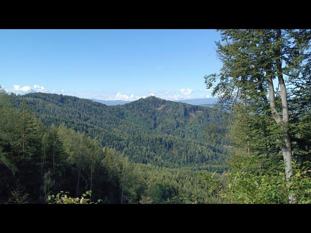 Frauenkogel Judendorf-Straßengel Kleiner Ausflug Sonntag morgens #outdoor #nature #hiking #gooutside