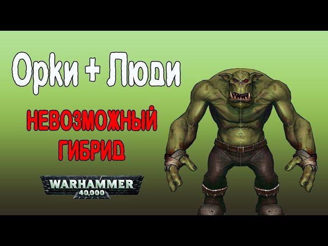 Орки + люди. Невозможные гибриды ксеносов и людей (Warhammer 40000)