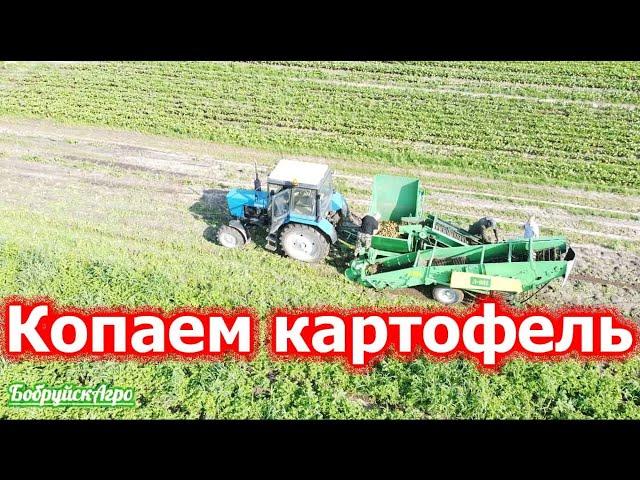 МТЗ 82 и картофелеуборочный комбайн Лидсельмаш Л-601