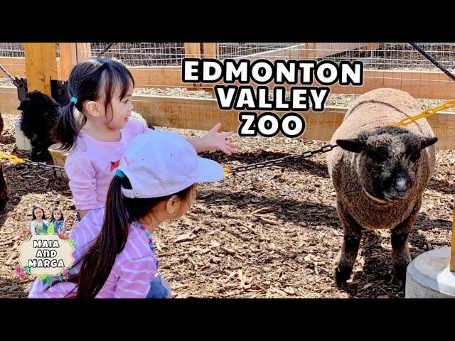 Explore Edmonton: YEG Valley Zoo | Outdoor Fun For Kids