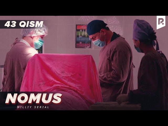 Nomus 43-qism (milliy serial) | Номус 43-кисм (миллий сериал)