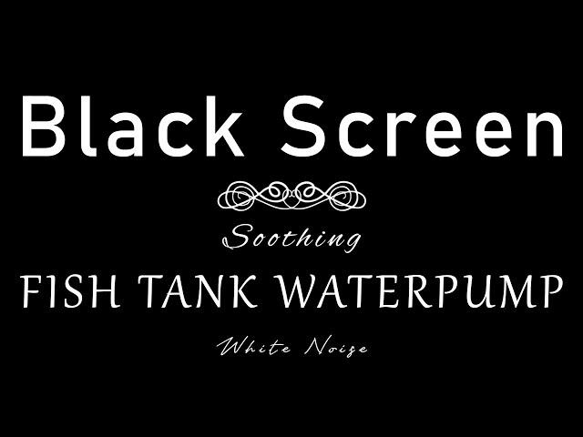 AQUARIUM Waterpump - White Noise | Black Screen | 10 Hour Sleep Sound