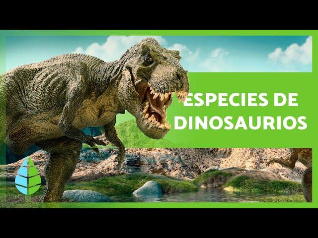 TIPOS de DINOSAURIOS  ¿Cuántas especies existieron?