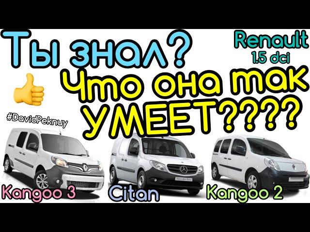 Рено Кенго 3. ФУНКЦИИ РЕНО! ТЫ ЗНАЛ? Скрытые функции Рено Кенго 2. Renault 1.5 dci super functions!