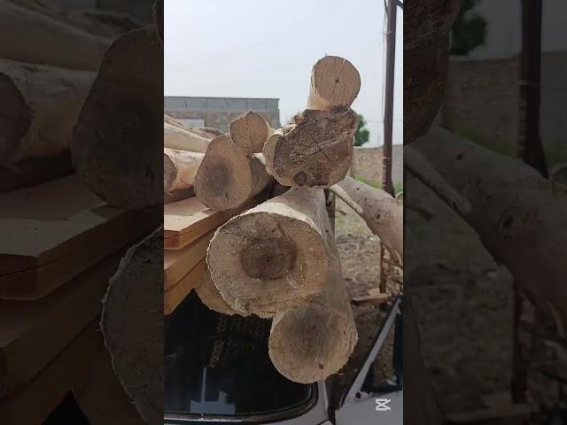 Yanhi Kelgan Stoyka Garbil Strapelllar Sotildi KESH TAXTA Manzil Qashqadaryo Shahrisabz Chorshanbe