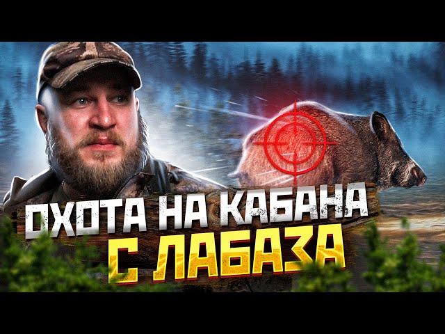 Охота с лабаза на кабана. Советы и нюансы по охоте с лабаза.