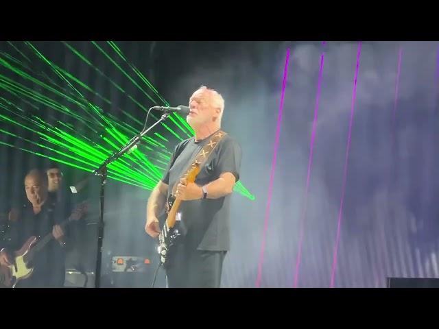 David Gilmour - Comfortably Numb - Rome - 02.10.2024