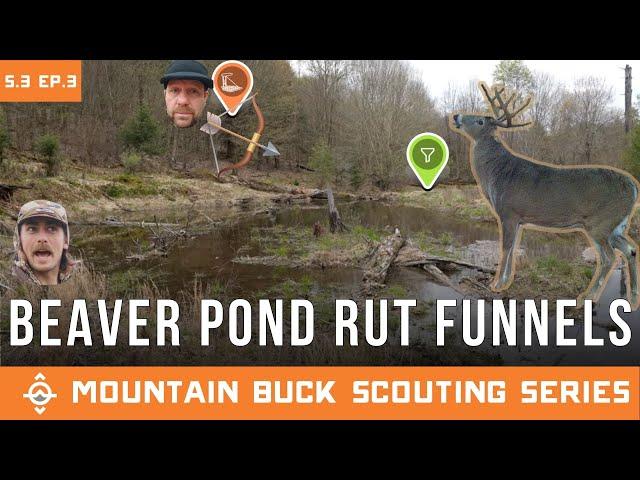 Scouting Beaver Pond RUT Funnels | Mountain Buck Scouting Series | S.3 Ep.3