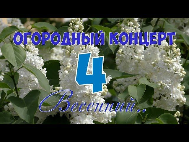 Огородный концерт 4 (Песни из кино)