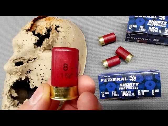 FEDERAL SHORTY SHOTSHELLS - Do They Work in Remington 870 & Mossberg 500 Shotguns? OPSol Mini Clip !