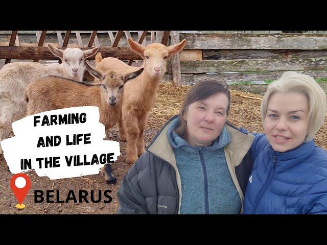 BELARUS: FARMING AND LIFE IN THE VILLAGE/  GOAT FARM AND FARMSTEAD "KRAINA MAR"