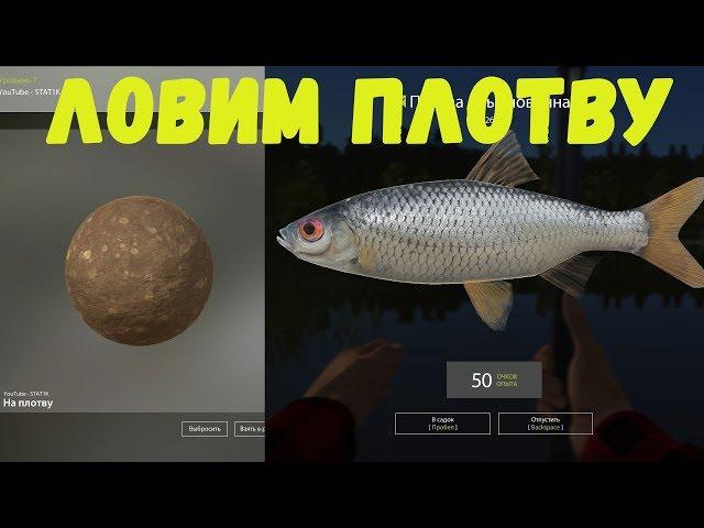 ПРИКОРМКА НА ПЛОТВУ • Russian Fishing 4